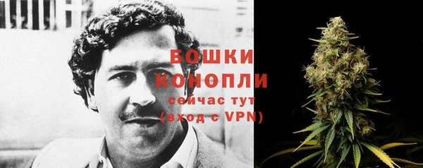 таблы Осинники