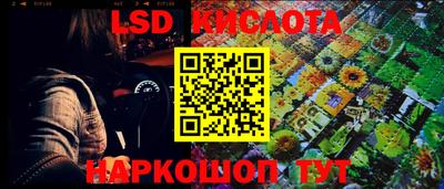 ГАЛЛЮЦИНОГЕННЫЕ ГРИБЫ Канаш