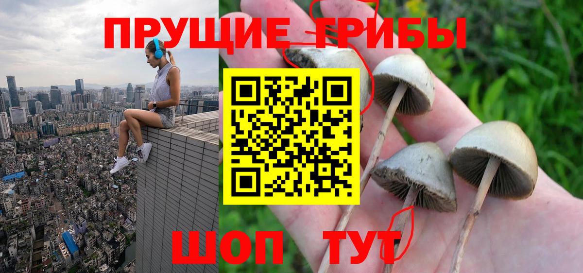 Иркутск  Галлюциногенные грибы мухоморы  Вход с VPN 