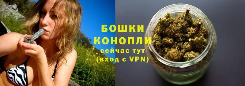 Бошки марихуана Amnesia  что такое наркотик  Иркутск 